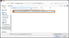 Netsparker - Select File Import